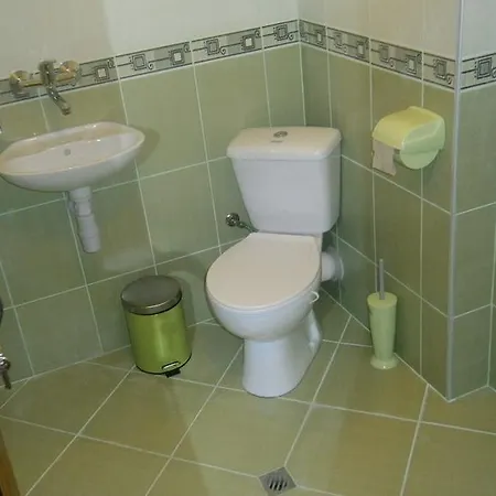 Guest house Dyskot *