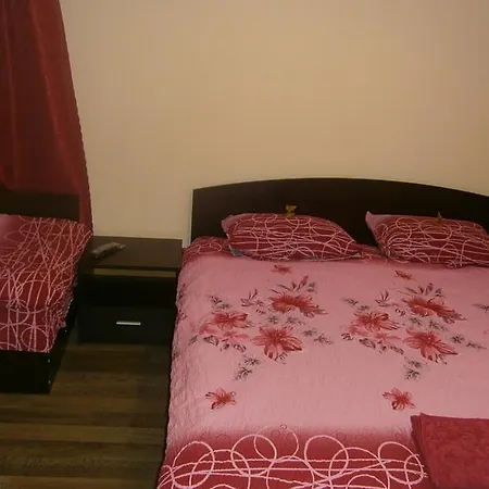 Guest house Dyskot *